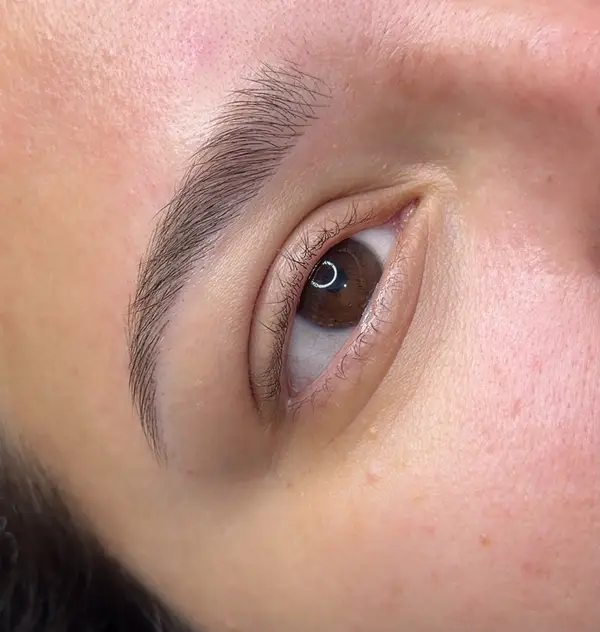 Sobrancelha de perto com micropigmentação fio a fio